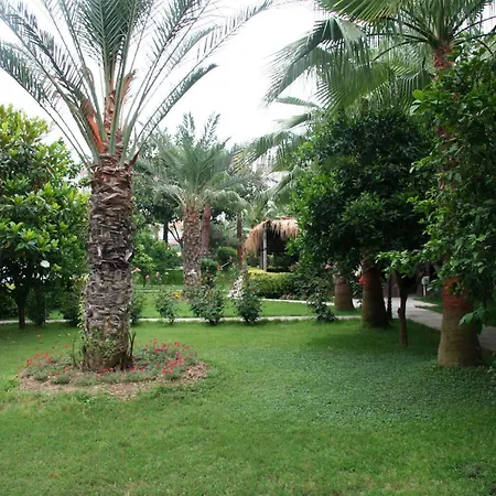 Ośrodek wypoczynkowy Elysee Garden Family Alanya